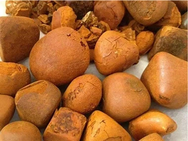 Terbuat dari Apa Bezoar? Untuk Apa Bezoar Digunakan?