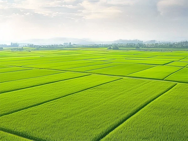 Applications of Potassium Carbonate Applications of Potassium Carbonate